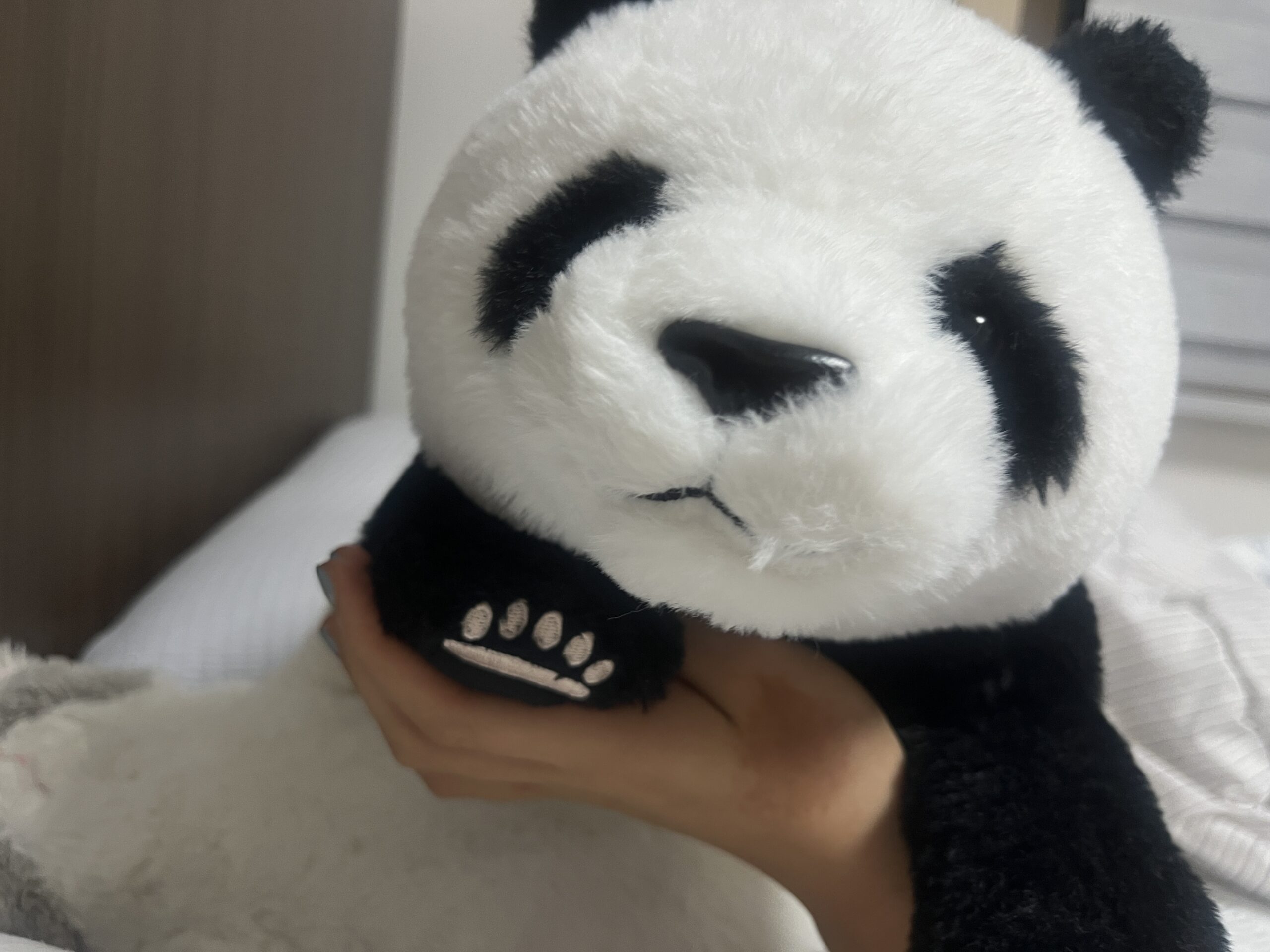 선레몬 판다도 샀음